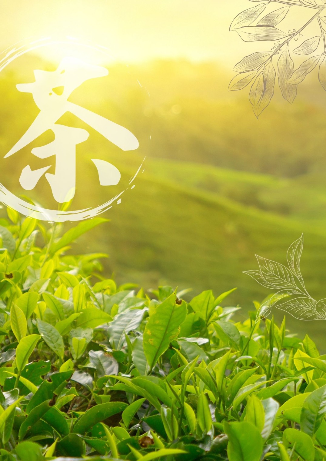 茶園與茶葉意象圖